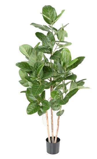 Ficus Audrey Kunstig 150 Cm Indendørs Plante