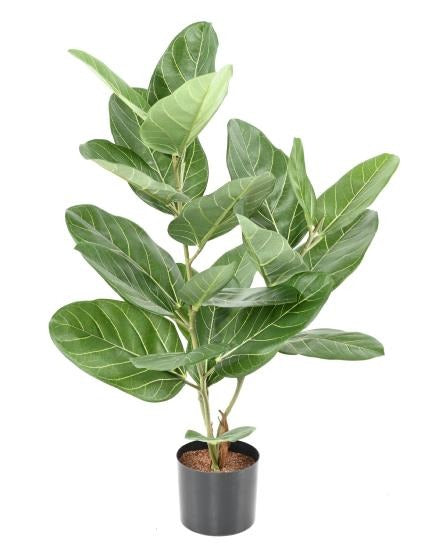 Kunstig Ficus Audrey 62 Cm Indendørs Plante
