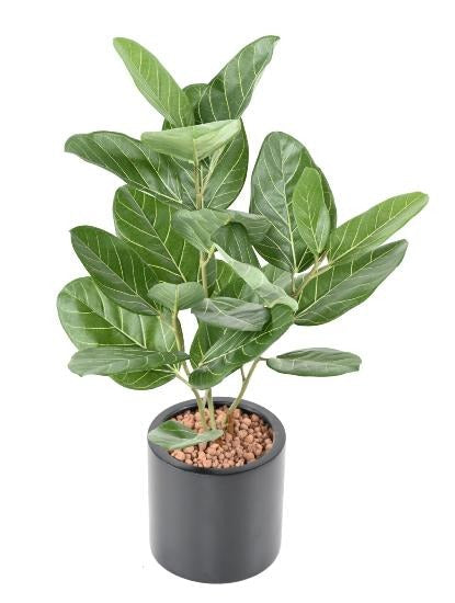 Kunstig Ficus Audrey 62 Cm Indendørs Plante