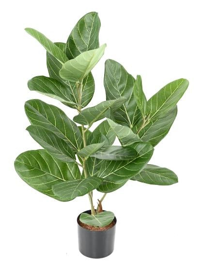 Kunstig Ficus Audrey 62 Cm Indendørs Plante