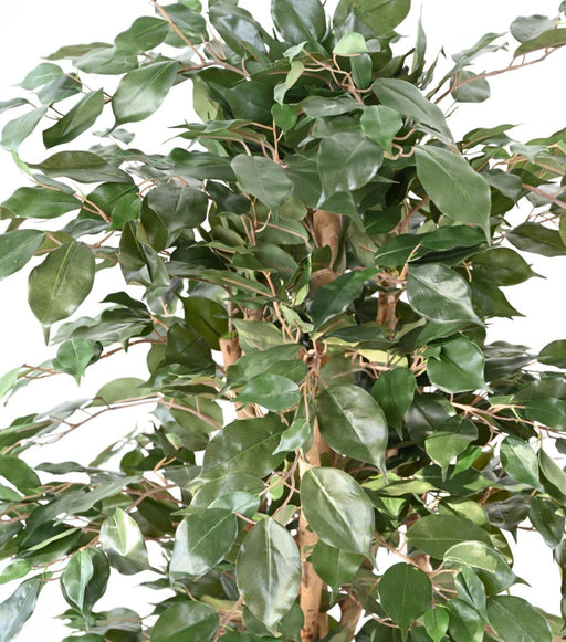 Kunstig Ficus Benjamina 150 Cm Indendørs Plante