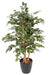 Kunstig Ficus Benjamina 150 Cm Indendørs Plante