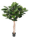 Kunstig Ficus Elastica Til Indretning 160Cm