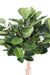 Kunstig Ficus Elastica Til Indretning 160Cm