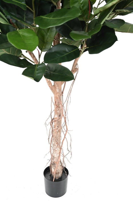 Kunstig Ficus Elastica Til Indretning 160Cm
