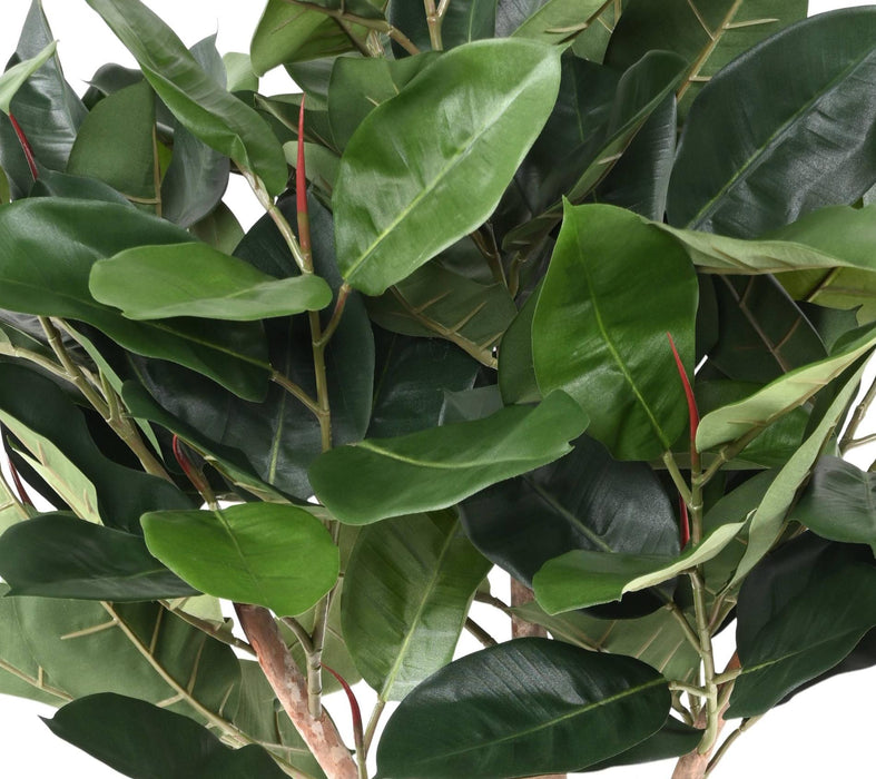 Kunstig Ficus Elastica Til Indretning 160Cm