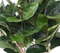 Kunstig Ficus Elastica Til Indretning 160Cm