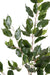 Kunstig Ficus Exotica 108 Cm Grønt Løv