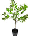 Ficus Henryi - Kunstig Grøn Plante