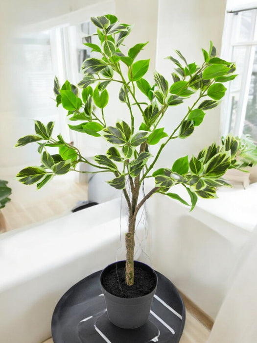 Ficus Henryi - Kunstig Grøn Plante