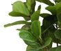 Ficus Lyrata - Kunstigt Træ