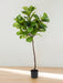 Ficus Lyrata - Kunstigt Træ