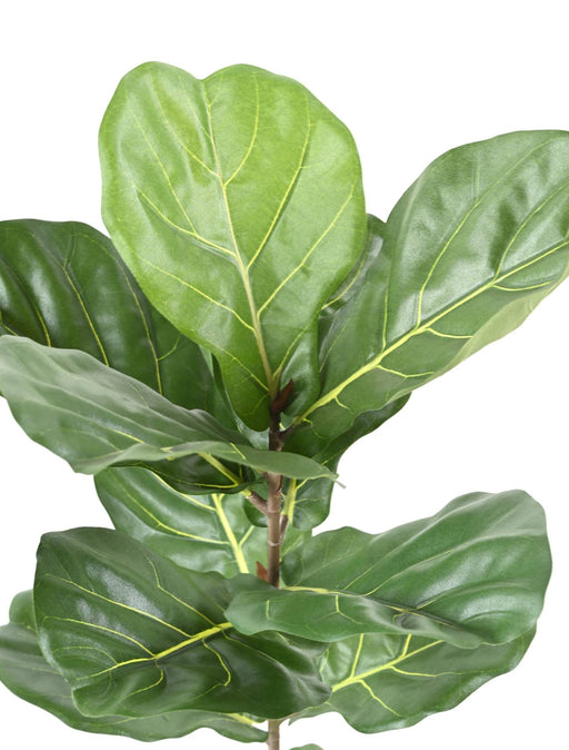 Kunstig Ficus Lyrata 100 Cm Grøn Til Indendørs