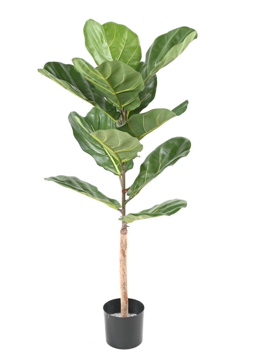 Kunstig Ficus Lyrata 100 Cm Grøn Til Indendørs