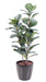 Kunstig Ficus Lyrata 130 Cm Indendørs Plante