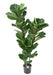 Kunstig Ficus Lyrata 130 Cm Indendørs Plante