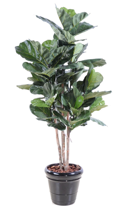 Kunstig Ficus Lyrata 190 Cm Indendørs Plante