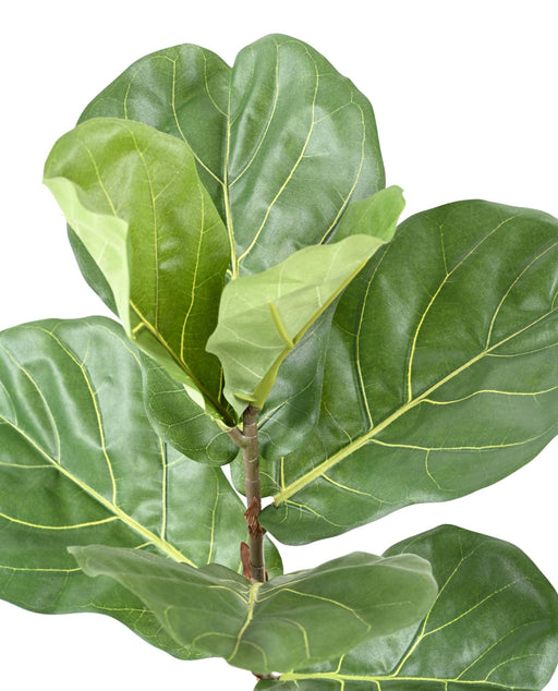 Kunstig Ficus Lyrata 75 Cm Indendørs Plante