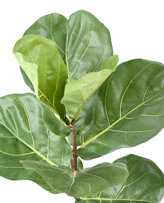 Kunstig Ficus Lyrata 75 Cm Indendørs Plante
