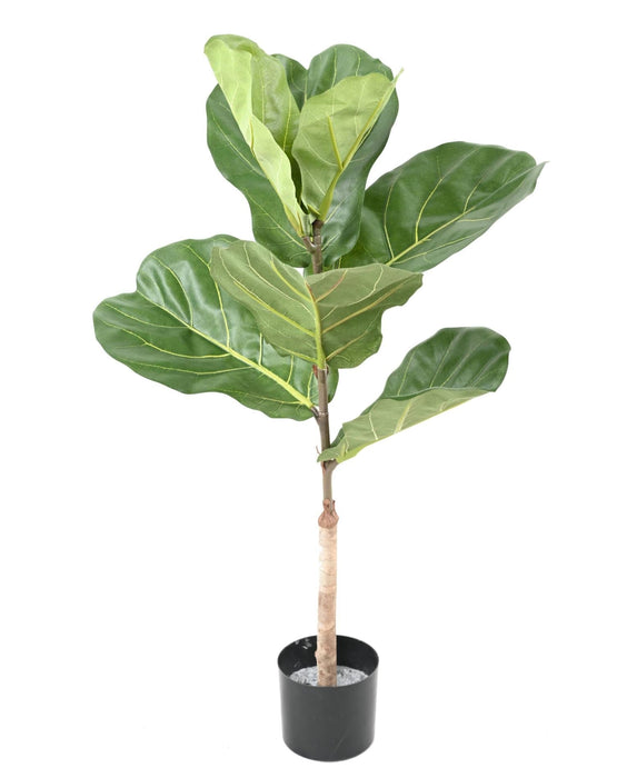 Kunstig Ficus Lyrata 75 Cm Indendørs Plante