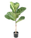 Kunstig Ficus Lyrata 75 Cm Indendørs Plante