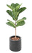 Kunstig Ficus Lyrata 75 Cm Indendørs Plante