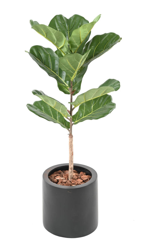 Kunstig Ficus Lyrata 75 Cm Indendørs Plante