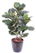 Kunstig Ficus Lyrata 90 Cm Indendørs Grøn Plante