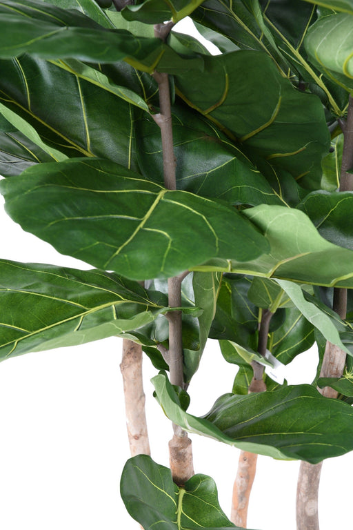 Ficus Lyrata Kunstig Grøn Plante Indendørs 210Cm