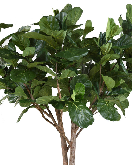 Kunstig Ficus Lyrata Til Indendørs 340 Cm