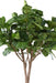 Kunstig Ficus Lyrata Til Indendørs 340 Cm