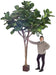 Kunstig Ficus Lyrata Til Indendørs 340 Cm