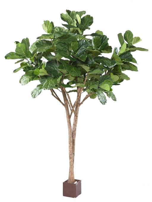 Kunstig Ficus Lyrata Til Indendørs 340 Cm