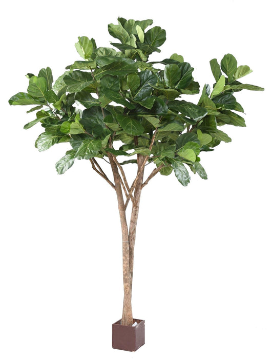 Kunstig Ficus Lyrata Til Indendørs 340 Cm
