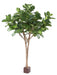 Kunstig Ficus Lyrata Til Indendørs 340 Cm