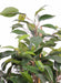 Kunstig Ficus Natasja 170 Cm Indendørs Plante