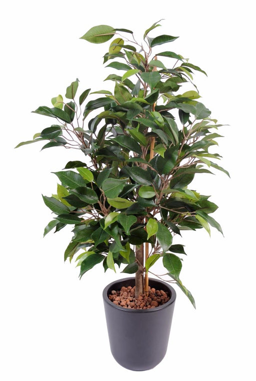Kunstig Ficus Natasja 60 Cm Indendørs Plante
