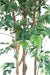 Ficus Natasja Kunstig Flerstammet 180 Cm Indendørs Plante