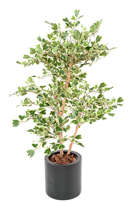 Kunstig Ficus Triangularis H120 Cm Indendørs Plante
