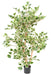 Kunstig Ficus Triangularis H120 Cm Indendørs Plante