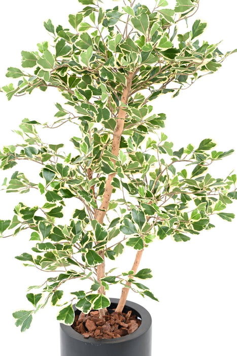 Kunstig Ficus Triangularis H120 Cm Indendørs Plante