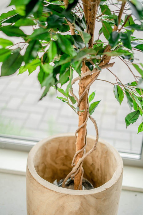 Grøn Ficus - Kunstigt Træ