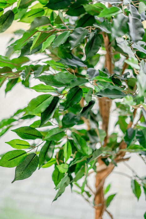 Grøn Ficus - Kunstigt Træ