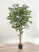 Ficus Benjamina - Kunstigt Træ