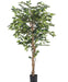 Ficus Benjamina - Kunstigt Træ