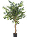 Ficus Benjamina - Kunstigt Træ