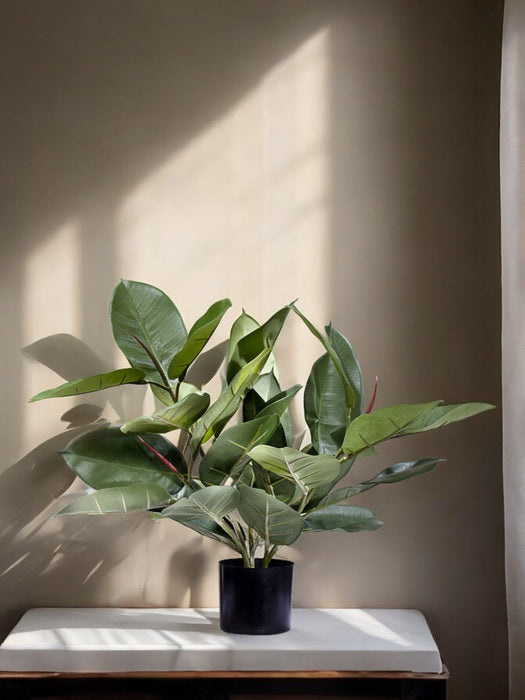 Ficus Elastica Rubber - Kunstig Grøn Plante