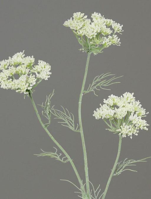 Kunstig Dild Blomst Vild Gulerod 74Cm Creme