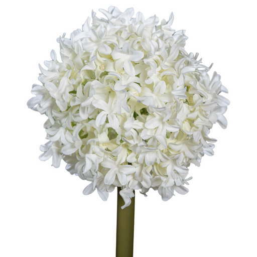 Kunstig Blomster Allium Creme 79 Cm Hvidløgsstilk