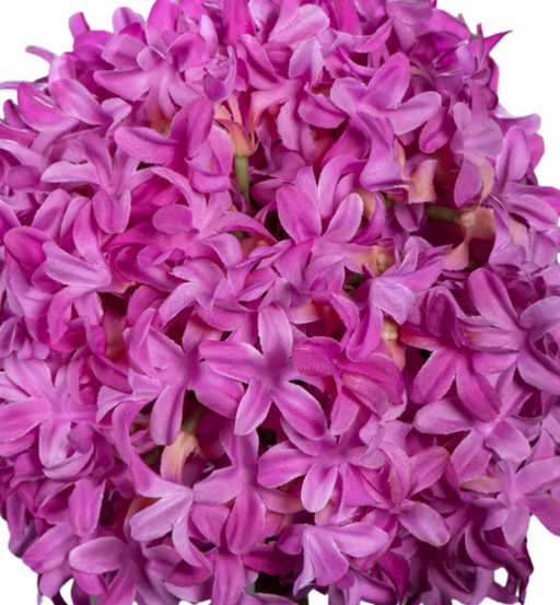 Kunstig Blomst Allium Fuchsia 79 Cm Hvidløgsstængel